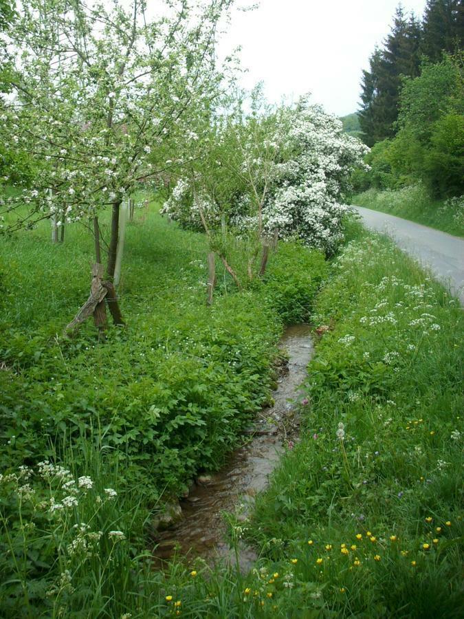 Gasthof Susewind Antfeld Kültér fotó